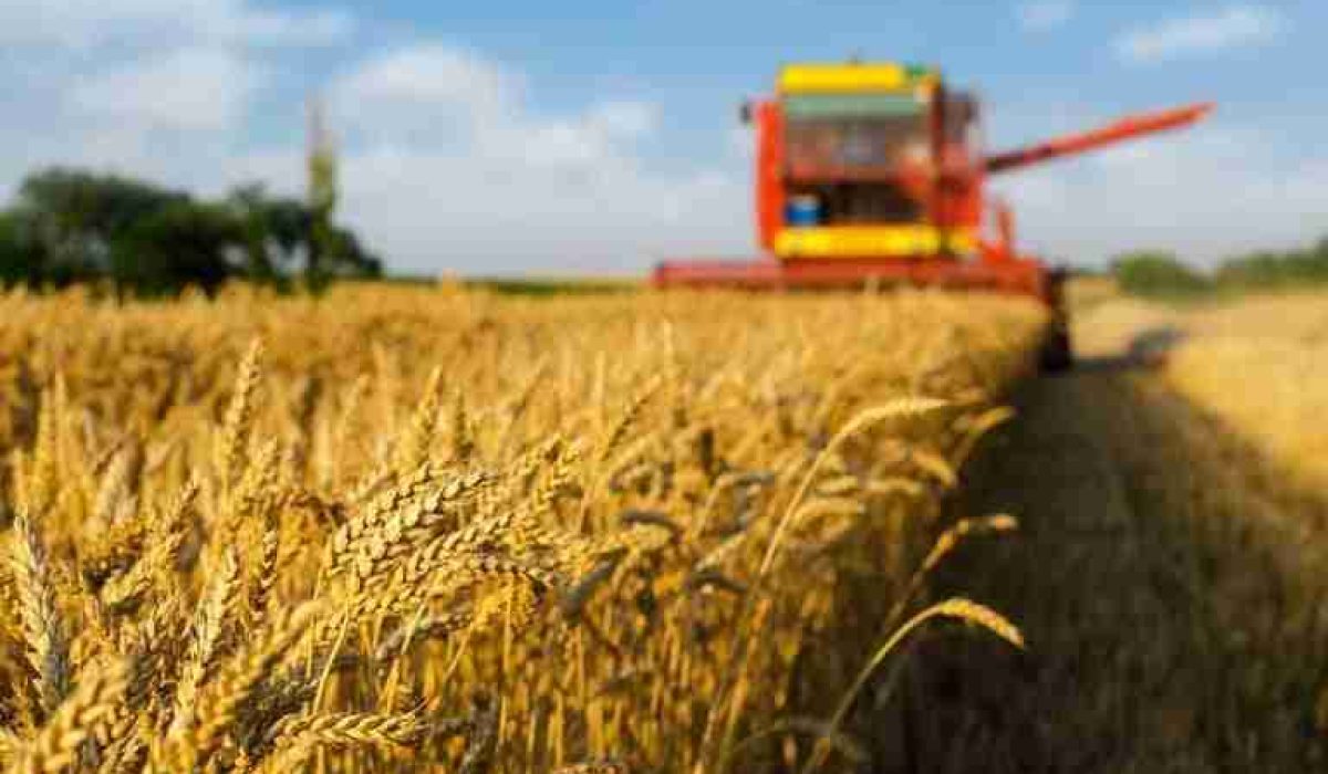 agro-brasileiro-globo-rural