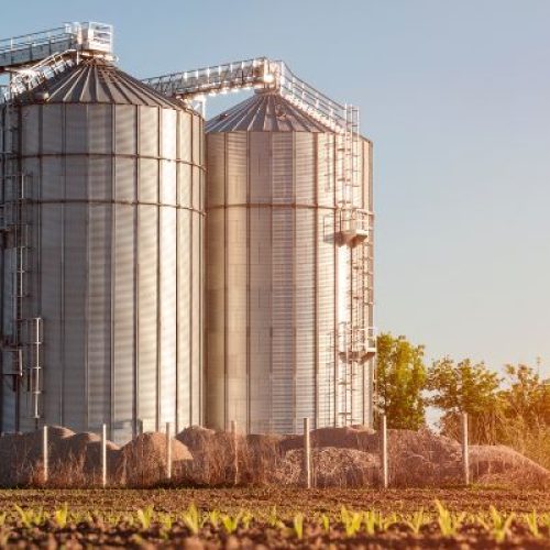 xr:d:DAE5pMiTsLU:916,j:38039482577,t:22101420