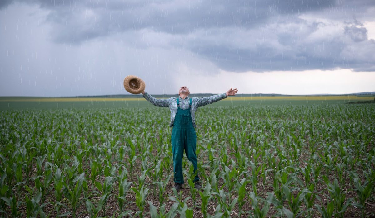 chuva-na-agricultura