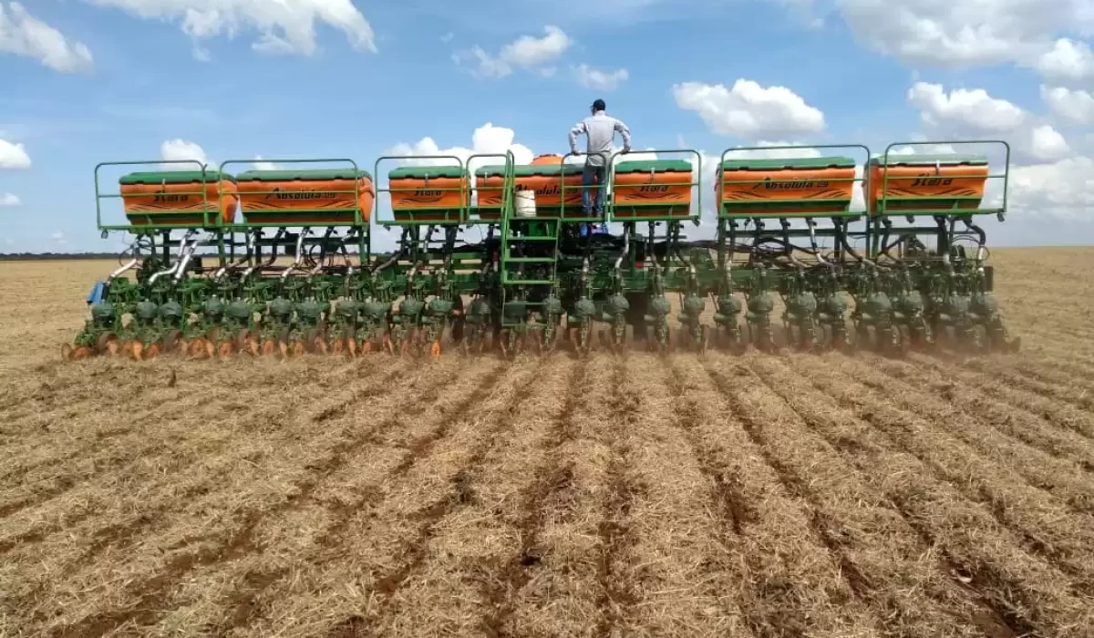 plantio da safrinha de milho gama corretora